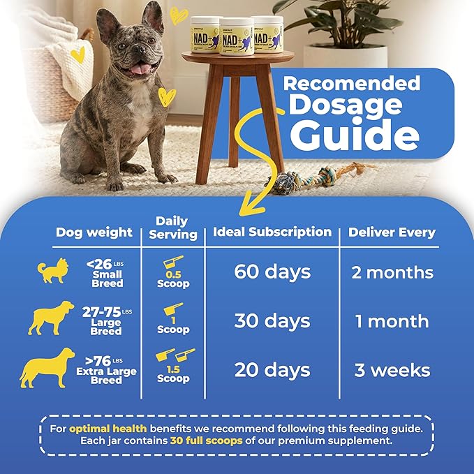 NAD+ Precursor Senior Dog Supplements & Vitamins Powder – Cognitive, Heart & Muscle Support – Senior Dog Multivitamin Powder Alternative with NR, Collagen, Bone Broth & Beef Liver