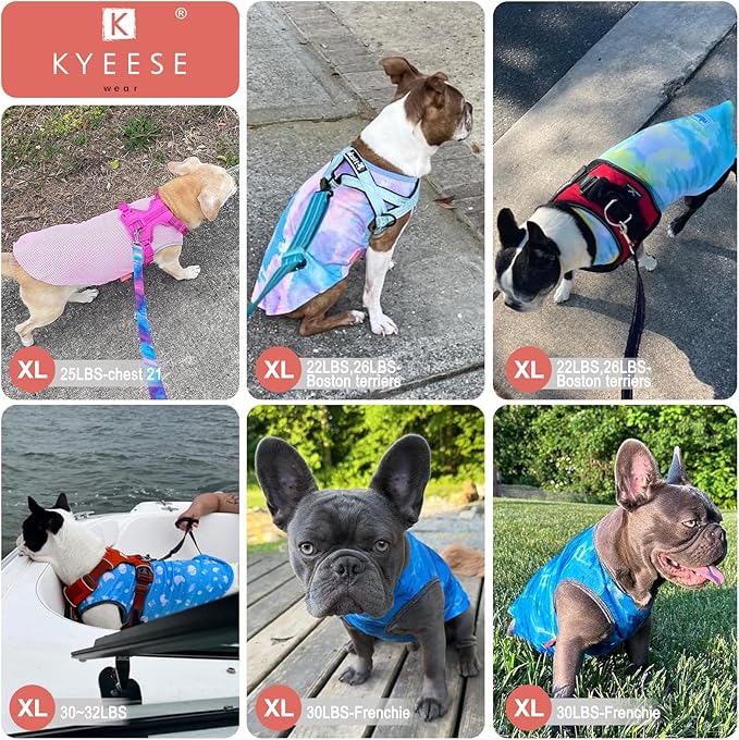 KYEESE 2Pack Dog Cooling Shirt, Breathable Dog Shirt for Small Dogs, Sun Protection Dogs Cooling Vest Tank Top, Lightweight Soft Sleeveless Summer Pet Clothes, Blue+Grey, L