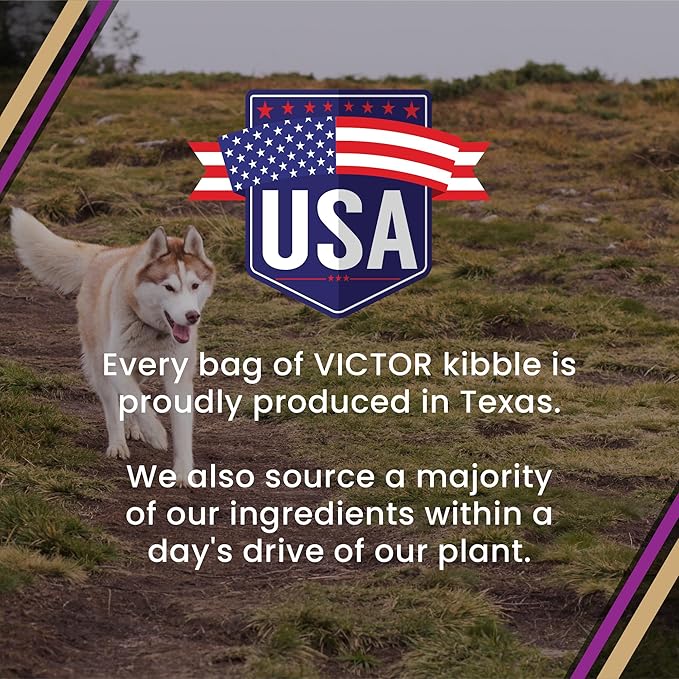 VICTOR Super Premium Dog Food – Professional Dry Dog Food – Super Premium Kibble with 26% Protein – Gluten-Free with Beef, Chicken & Pork Meals – for High Energy and Active Dogs & Puppies, 40lbs