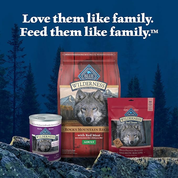 Blue Buffalo Wilderness Trail Treats Crunchy Dog Biscuits, Grain-Free and High-Protein Dog Treats Made with Natural Ingredients, Salmon Recipe 24-oz Bag