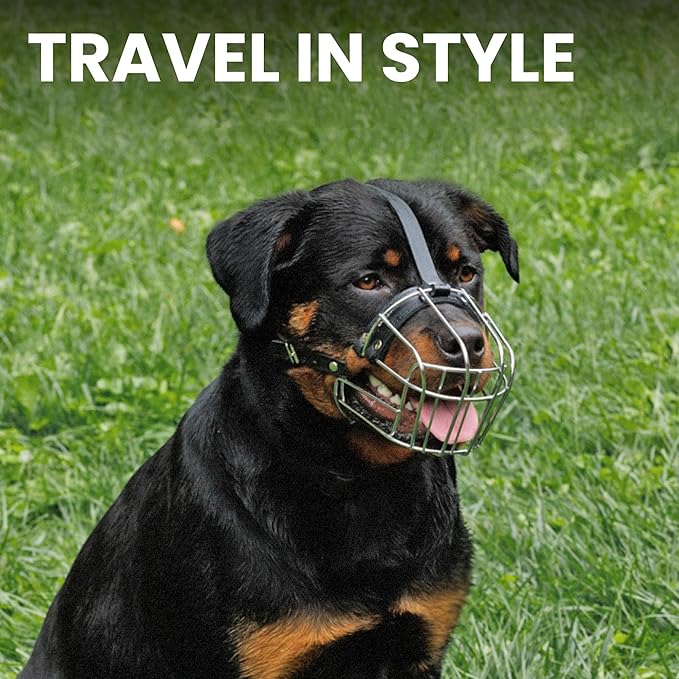 BRONZEDOG Dog Muzzle Adjustable Durable Metal Wire Basket for Large and Extra Large Dogs with Leather Straps Breathable, Drinkable, Training, Prevents Biting (Stainless Steel, Rottweiler)