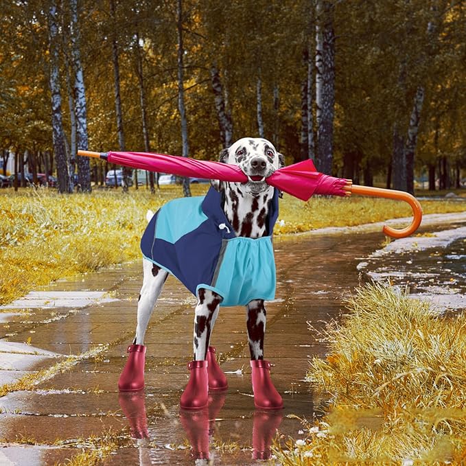 IECOii Dog Raincoat, Waterproof & Windproof Dog Rain Jacket with Reflective Strips for Rainy Walks,Pet Rain Poncho with Hood,Quick Dry,Easy to Wear,3XL Fits for Large Breeds,Blue,XXXL