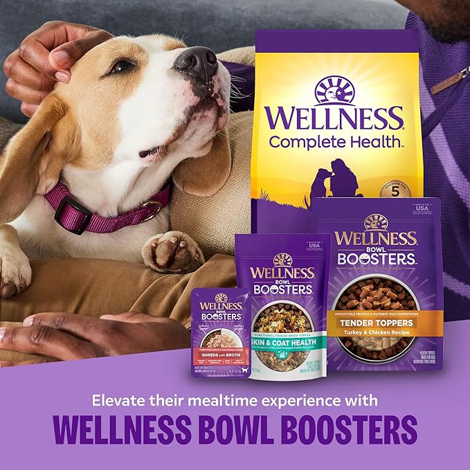 Wellness Complete Health Puppy Dry Dog Food, Wholesome Grains, Natural, Chicken, Oatmeal, & Salmon Recipe, (15-Pound Bag)