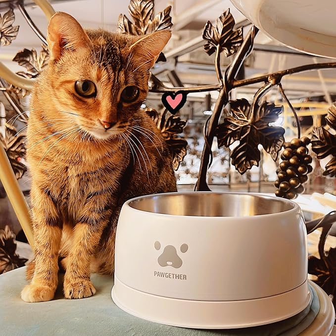 PAWGETHERยฎ Stainless Steel Dog Bowls, Dog Food Water Bowl with Non-Slip Base Two-Piece Design Easy Clean Dishwasher Safe Black 34oz + 12oz