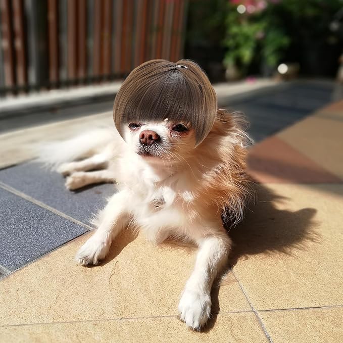 Funny Dog Cat Cosplay Wigs for Dogs, Dog Wigs for Small Dogs Adjustable Cat Wig Trimmable Funny Dog-Wig Pet Wig for Halloween, Parties, Christmas, Festivals