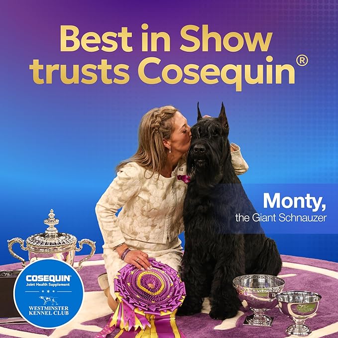 Cosequin Minis Soft Chews Maximum Strength with MSM Plus Omega3, 45 Count