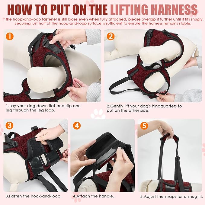SlowTon Dog Lift Harness - Adjustable Dog Sling for Medium Large Dogs, Hind Leg Support to Help Rehabilitate, Soft Padded Dog Support Harness for Elderly, Injured, Arthritic, Disabled Dogs(R,L)