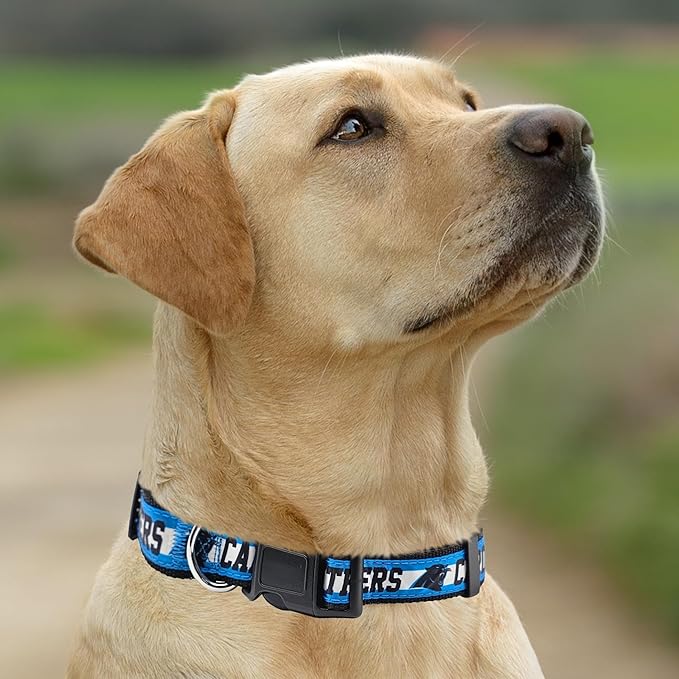 Pets First NFL Carolina Panthers Licensed PET COLLAR, Medium - Heavy-Duty, Strong, and Durable Dog Collar. Available in 31 Football Teams and 4 Sizes