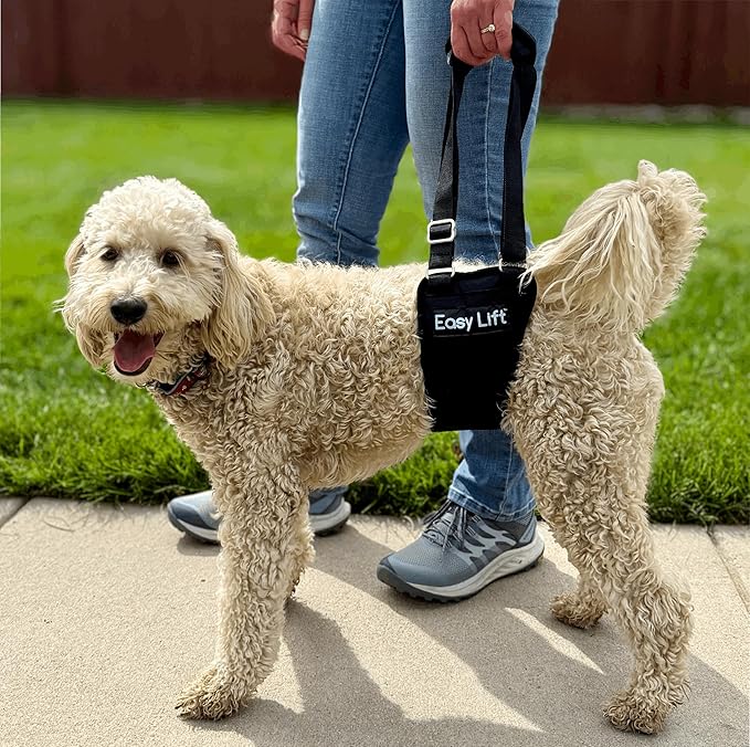 Easy Lift Dog Support Sling, Weak Hind Leg Harness for Injured, Arthritic & Senior Dogs, or Orthopedic Surgery Recovery & Rehabilitation, Machine Wash & Dry, Padded for Comfort, Help Up Stairs