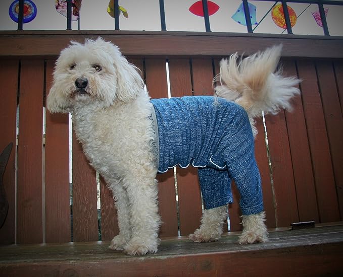 Original Dog Pants, E-Collar Alternative, Dog Pajamas, Dog Diaper X-Small Dog, Blue