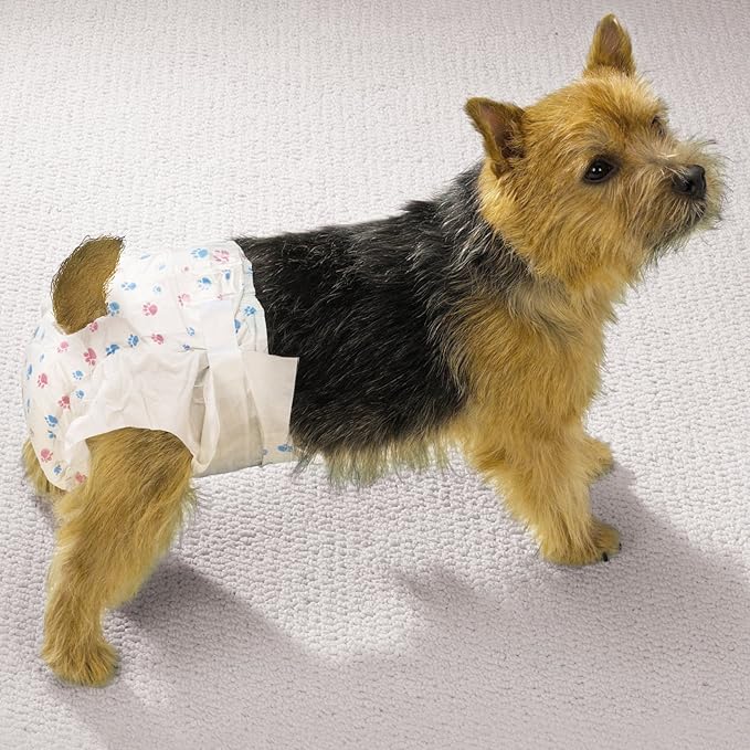 ClearQuest Disposable Doggy Diapers, Super Absorbent Leak-Proof Pet Diapers