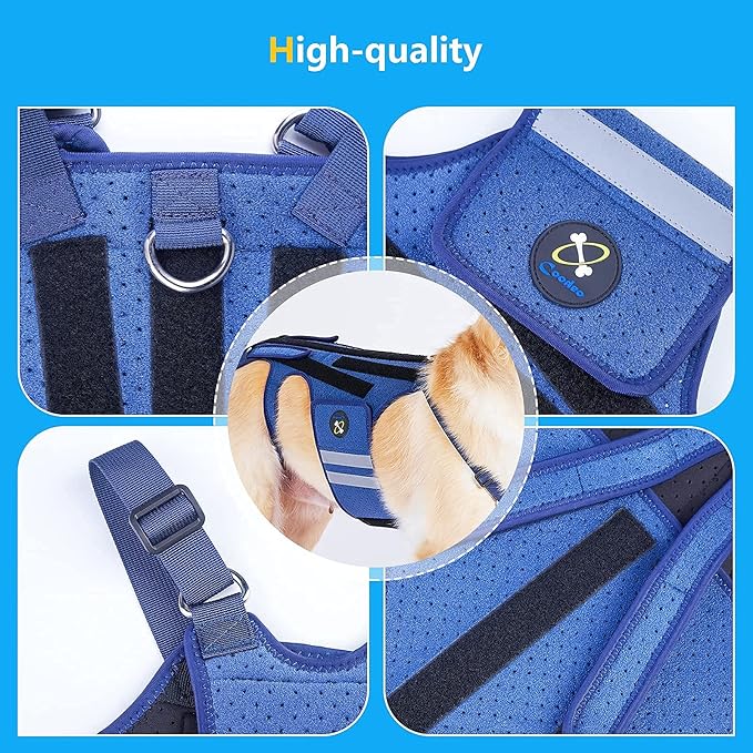 Coodeo Dog Back Brace for Dogs Arthritis, Pet Back Bracer for IVDD, Back Protector Helps Pain Relief, Surgical Recovery and Rehabilitation, Dogs Back Disease Prevention. (Blue,XX-Large)