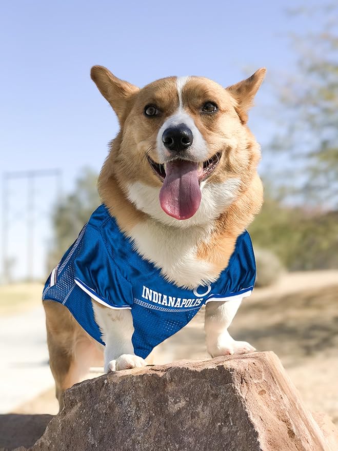 NFL INDIANAPOLIS COLTS DOG Jersey, Medium
