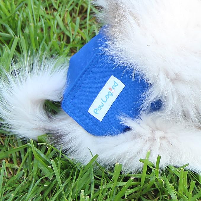 Paw Legend Washable Dog Belly Band Wrap Diapers for Male Dog | High Absorbing Puppy & Doggy Diapers Male (3 Pack,Blue,Aqua,Black,XX-Large)