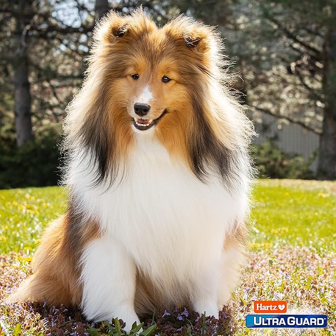 Hartz UltraGuard Pro Flea & Tick Topical Dogs & Puppies Treatment & Prevention, 6 Months, 15-30 lbs