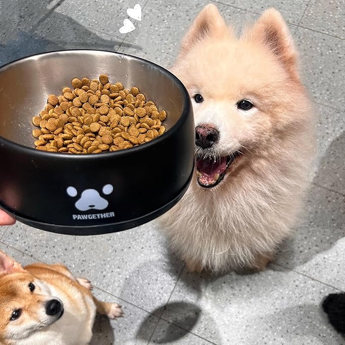 PAWGETHERยฎ Stainless Steel Dog Bowls, Dog Food and Water Bowl Non-Slip Easy to Clean Dishwasher Safe for Puppy Small Medium Dogs Cats Black 34oz