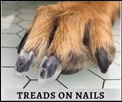 Dr. McHenry's Dog Toe Treads Set of 24, Adhesive, Cleaning Brush, Senior Dog Traction Mobility Support, Small Kit- Weight: 8-16 lbs. Net Weight 1.6 oz.