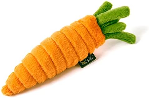 P.L.A.Y. Cute Plush Dog Toys - Fruit & Vegetable Themed Durable Squeaker Chew Toy, Great for Puppies & Small, Medium, Large Dogs - Machine Washable, Recycled Materials (Garden Fresh Carrot, X-Small)
