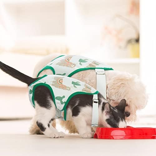 QBLEEV Dog Diapers Female Washable Sanitary Pantie with Adjustable Suspender, Reusable Doggie Period Panties, Pet Underwear Diaper Jumpsuits for Male Dogs in Heat, Puppy Diapers for French Bulldog M