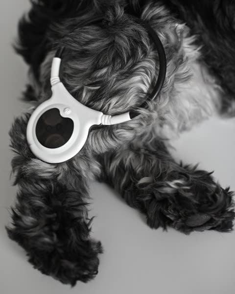 Assisi Loop 2.0 Manual tPEMF Device for Dogs, Cats, and Horses (10 cm)