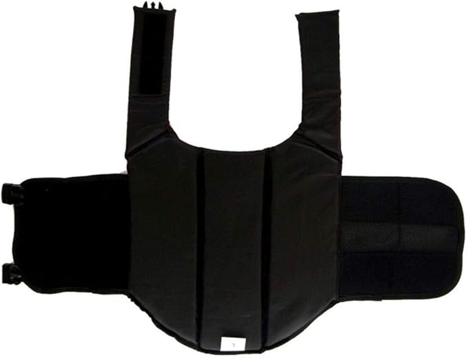 ChezAbbey Dog Life Jacket Adjustable Dog Lifevest Swimsuit Safety Vest Apparel Lifesaver Coat for Small Large Cats Puppy Kitty with Handle Reflective for Swimming and Boating Pink Flower XS
