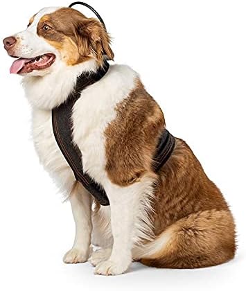 Assisi Loop 2.0 Manual tPEMF Device for Dogs, Cats, and Horses (20 cm)