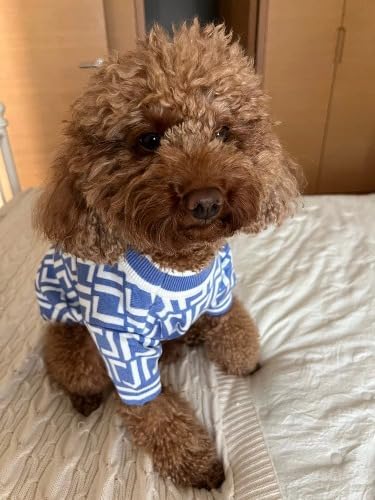 Luxury Dog Sweater – Soft Knit Designer Pet Outfit for Small Dogs & Puppies, XS–L, Stylish Warm Clothing for Yorkies, Chihuahuas, Dachshunds, Maltese, French Bulldog