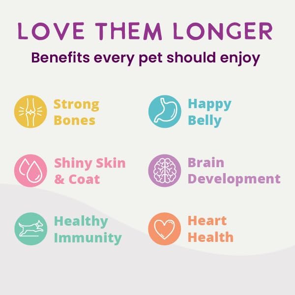 Health Extension Wet Dog Food Turkey & Sweet Potato Entrée in Gravy, 9 oz - Digestive Support with Superfoods & Antioxidants for Immune Support (Case of 12 Cans)