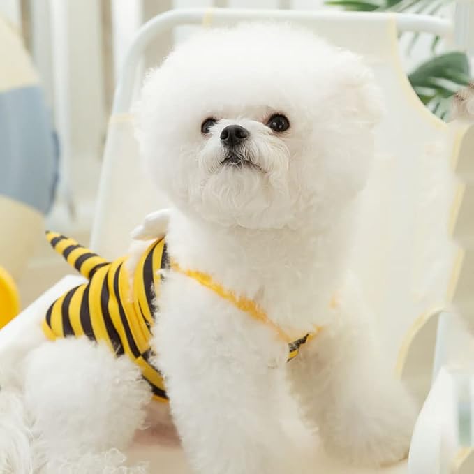 Funny Dog Swimwear Bikini Summer Dog Clothes Beach Swimsuit Puppy Bathing Suit Puppy Vest Cooling Pet Shirt for Small Dogs, Cat Apparel (Large, Yellow Bee)