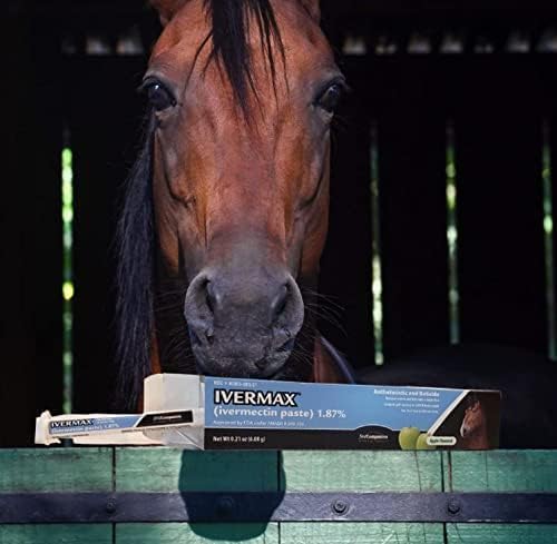 Ivermax (Ivermectin) Equine Paste 6.08 Gram 1 Pack, Blue