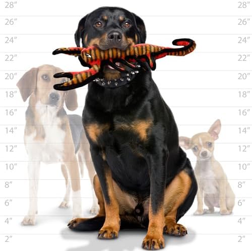 Tuffy Desert Scorpion