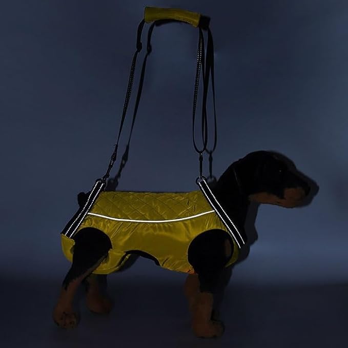 Full Body Dog Lift Harness for Rehabilitation and Support, Breathable and Adjustable Aid Harness for Senior, Injured Or Disabled Pets(X-Large)