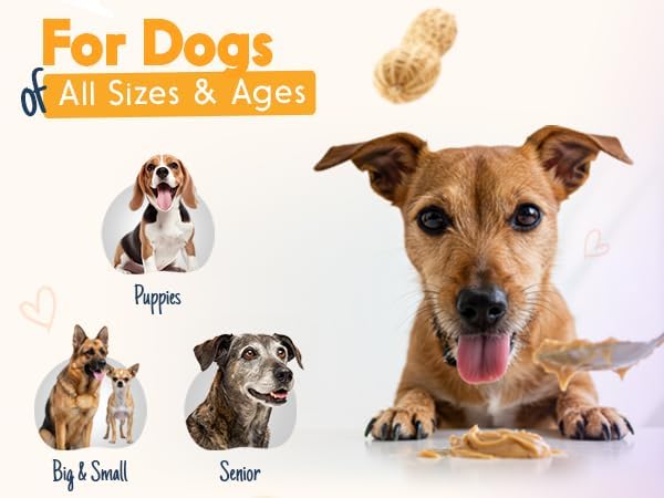 BUDDY BUDDER Bark Bistro Company, Superberry Snoot + Pumpkin Pup, Natural Dog Peanut Butter, Dog Treat, Made in USA (Set of 2, 17oz Jars)