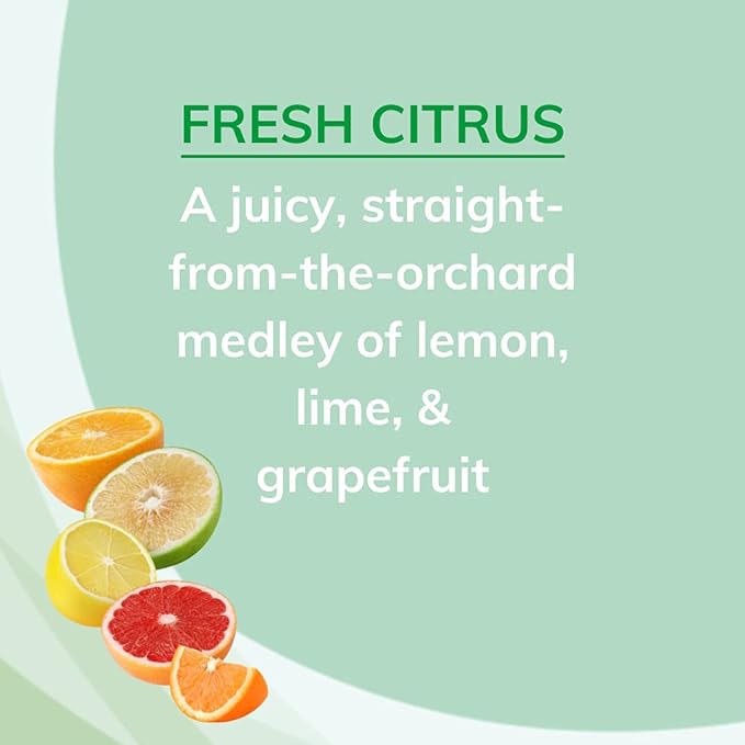 Citrus Magic Odor Absorbing Solid Air Freshener, Fresh Citrus, 20-Ounce, (Pack of 6)