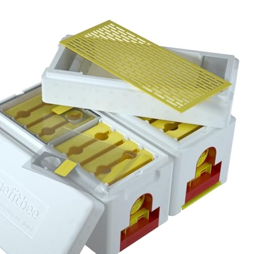 1set 4-Way Queen Bee Mating Nuc Box – 120kg/m³ High-Density EPS Insulated | Multi-Queen Rearing Complete Small Hive Kit for Beginner & Hobbyist Beekeepers