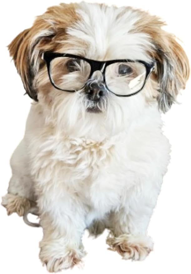 G002 Dog Pet Clear Lens Costume Glasses Small to Medium Breeds 12LBS~30LBS Prop Photoshoot Sunglasses (80s Black-Clear)