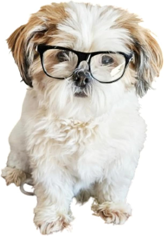 G002 Dog Pet Clear Lens Costume Glasses Small to Medium Breeds 12LBS~30LBS Prop Photoshoot Sunglasses (80s Black-Clear)