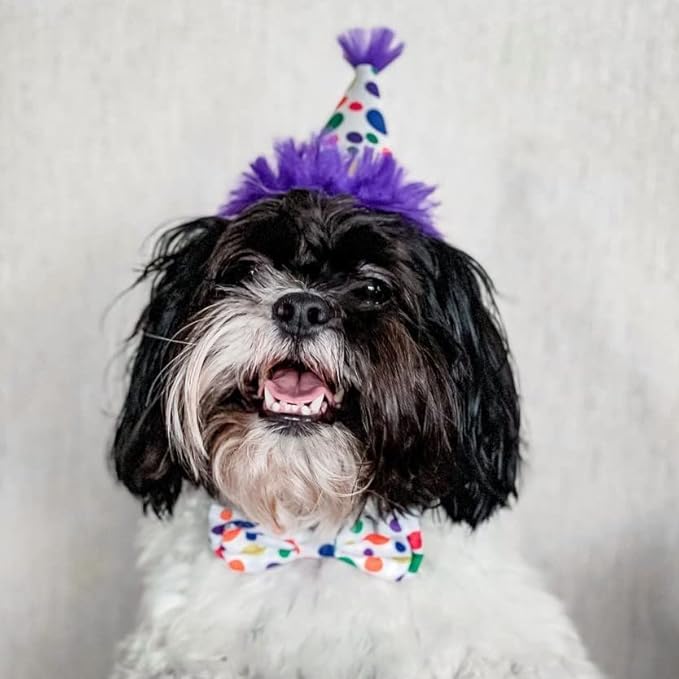 Huxley & Kent Pet Party Hat | Happy Barkday (Small) | Birthday Hat for Dogs and Cats | Adjustable Strap for Comfort and Stability | Perfect for Birthday Party, Adoption Celebration or Gotcha Day