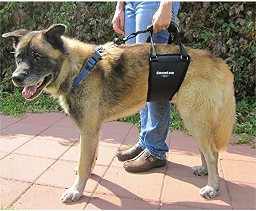 GINGERLEAD Dog Sling Hip Lift Harness, Tall Male fits Tall, Lean Dogs Like Greyhounds or Great Danes. Padded Support Aid to Help Pets Up or Down Stairs, in or Out of Vehicles. Made in U.S.A.