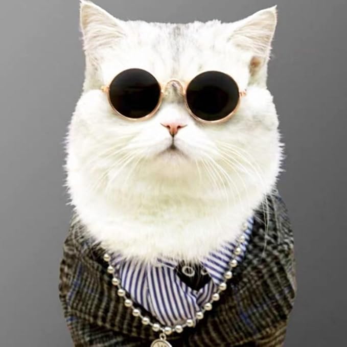 Pokinge 4Pcs Pet Glasses Multicolor Sunglasses Pet Puppy Protection Sunglasses Cat Glasses Cosplay Photo Prop Accessories Pet Supplies for Cat Dog
