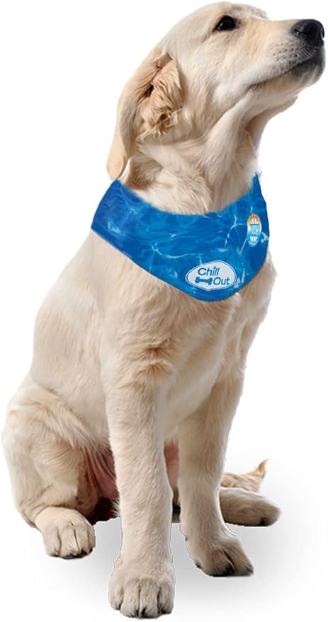 ALL FOR PAWS Dog Cooling Bandana, Cooling Bandanas for Large Dogs, Ice Dog Bandanas, Cooling Neck Wraps for Dogs, Chill Out Blue Neck Cooler (L)