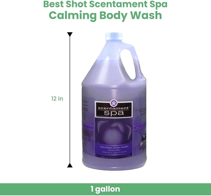 Best Shot Scentament Spa Calming Body Wash, Lavender Aloe, 1 Gallon