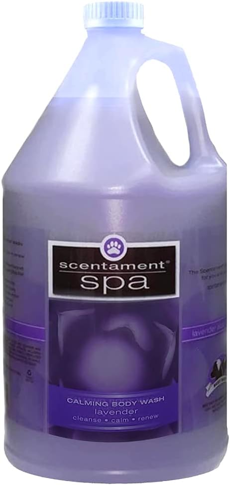Best Shot Scentament Spa Calming Body Wash, Lavender Aloe, 1 Gallon