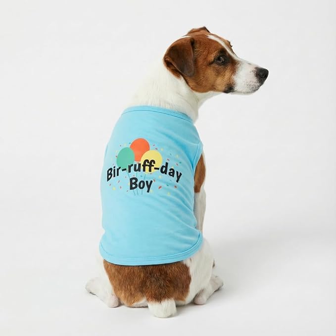 Fitwarm Birthday Boy Dog Shirt, Bir-Ruff-Day Boy Funny Dog Clothes for Small Dogs Boy, Pet Birthday Outfit, Cat Tshirt, 100% Breathable Cotton, Aqua Blue, XS
