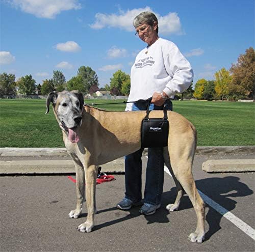 GINGERLEAD Dog Sling Hip Support Harness, Tall Female fits Tall, Lean Female Dogs Like Greyhounds or Great Danes. Padded Lifting Aid to Help Pets Up or Down Steps, in or Out of Vehicles. Made in USA