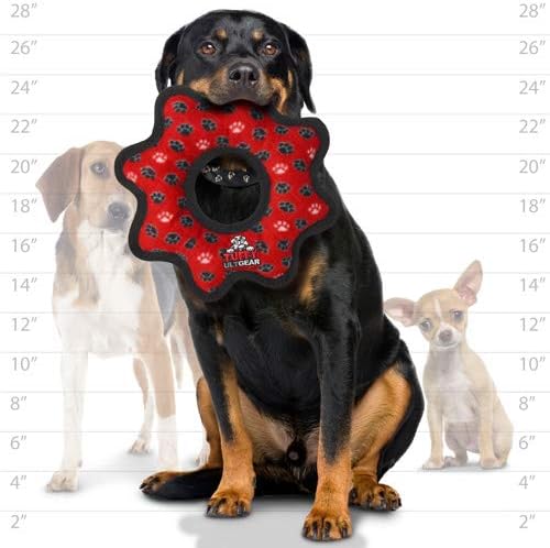 TUFFY - World's Tuffest Soft Dog Toy - Junior 3 Way Tug - Squeakers - Multiple Layers. Made Durable, Strong & Tough. Interactive Play (Tug,Toss & Fetch). Machine Washable & Floats (Combo 2 Pack)