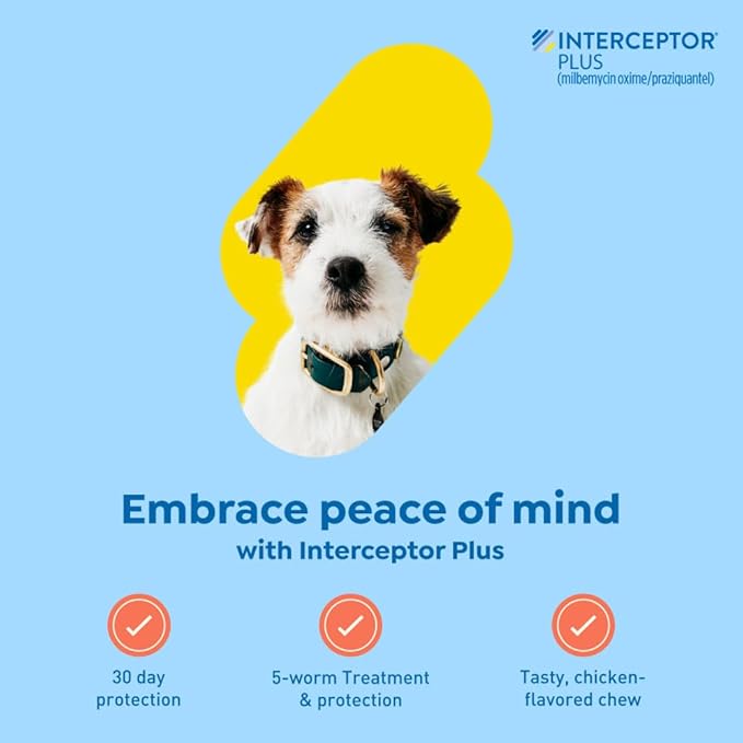Interceptor Plus Prevention for Heartworm + 4 Other Worms for Dogs 8.1-25 lbs. | 12 Chews, 12-Month Supply
