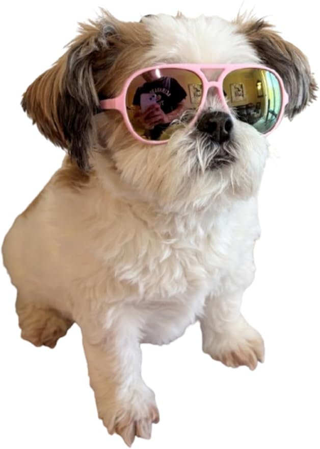 G048 Dog Pet Cat Costume Retro Aviator Sunglasses Adjustable for Small-Medium Dogs Approximately 12-30 lbs Party Prop Cosplay Photoshoot (Aviator Pink-Pink Mirror)