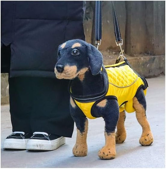 Full Body Dog Lift Harness for Rehabilitation and Support, Breathable and Adjustable Aid Harness for Senior, Injured Or Disabled Pets(Small)