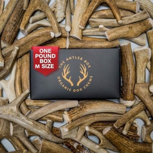 The Antler Box Premium Deer Antler Dog Chews (1 lb Bulk Pack) (Medium (5 Antlers/lb)…